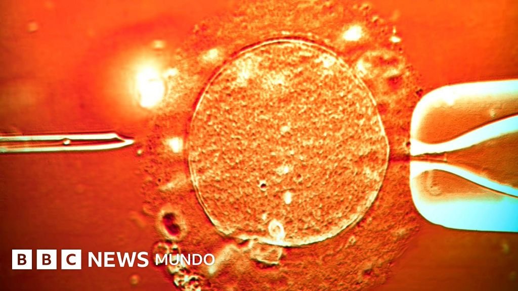 El esperma de un donante portador de un gen cancerígeno permitió la concepción de cerca de 200 niños: "Varios padecieron tumores y algunos ya han fallecido"