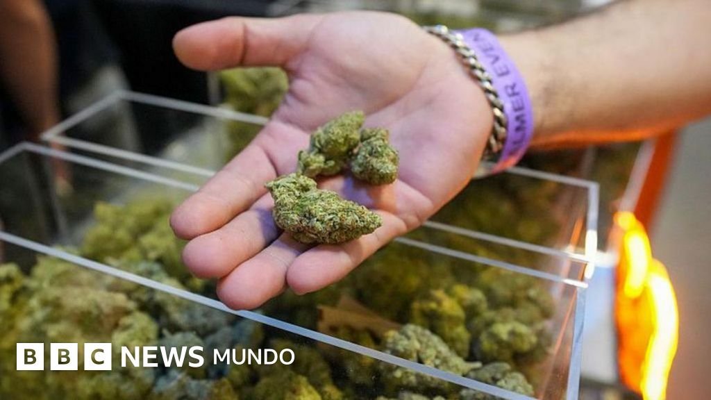 Trump firma una orden ejecutiva que reduce la marihuana a una droga menos peligrosa y amplía su acceso.