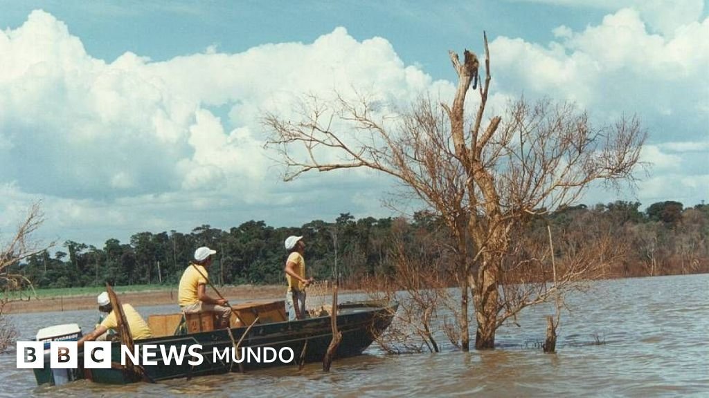 Mymba Kuéra: el increíble salvamento de más de 30.000 animales durante la construcción de la represa de Itaipú entre Paraguay y Brasil