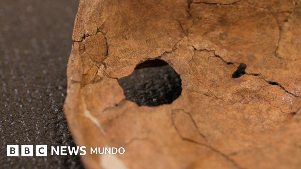 La lesión que revela la agresividad oculta de los neandertales