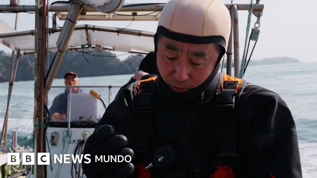 Un hombre bucea durante años para mantener viva la memoria de su esposa, arrastrada por un tsunami.